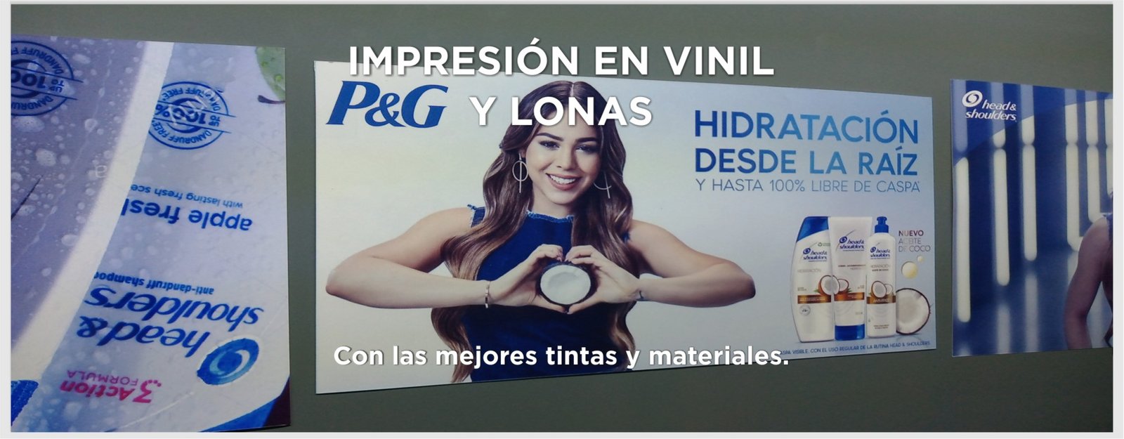 Imagen 5